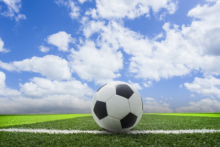 体育媒体数据支持